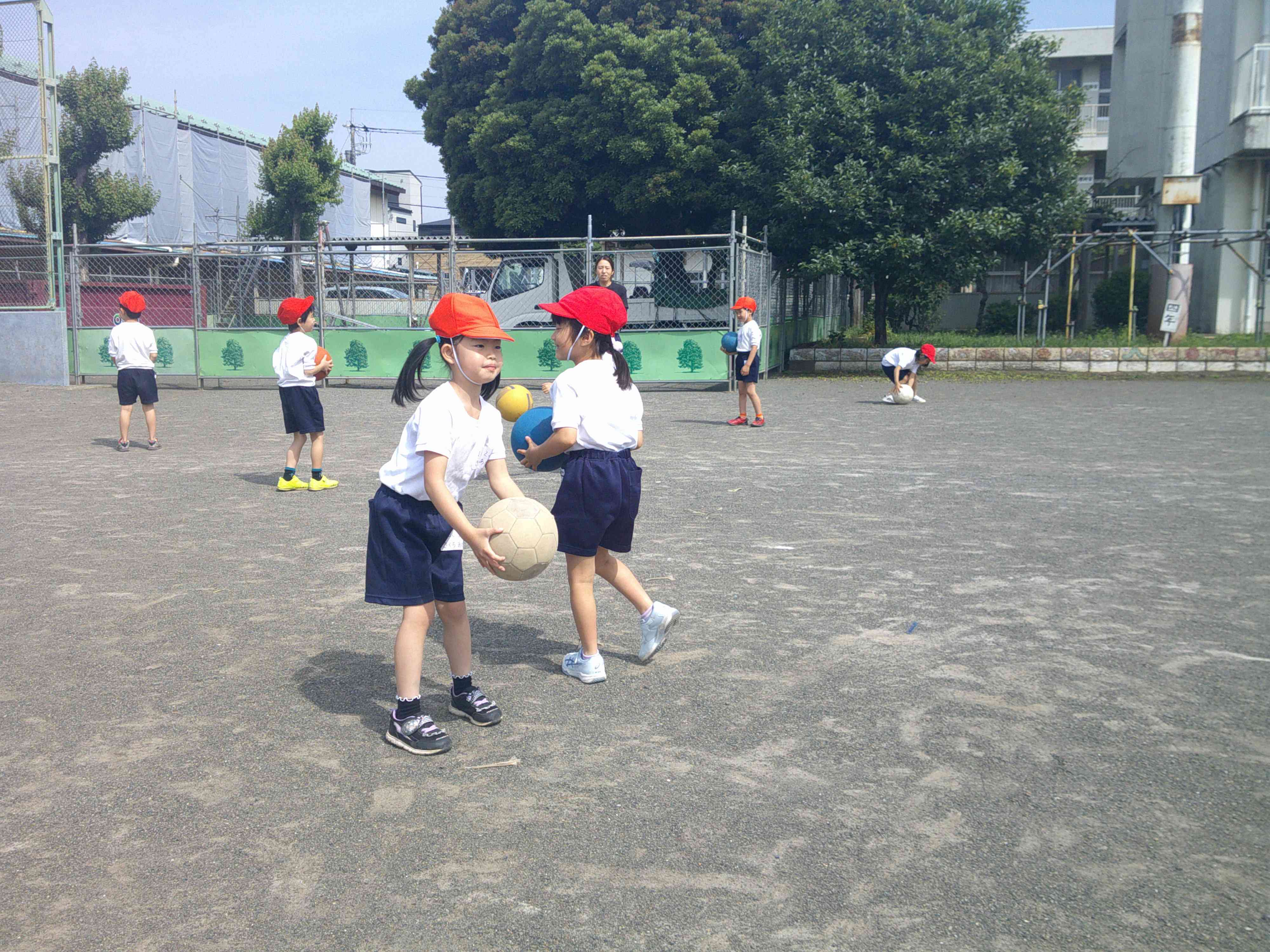 DSCF0139