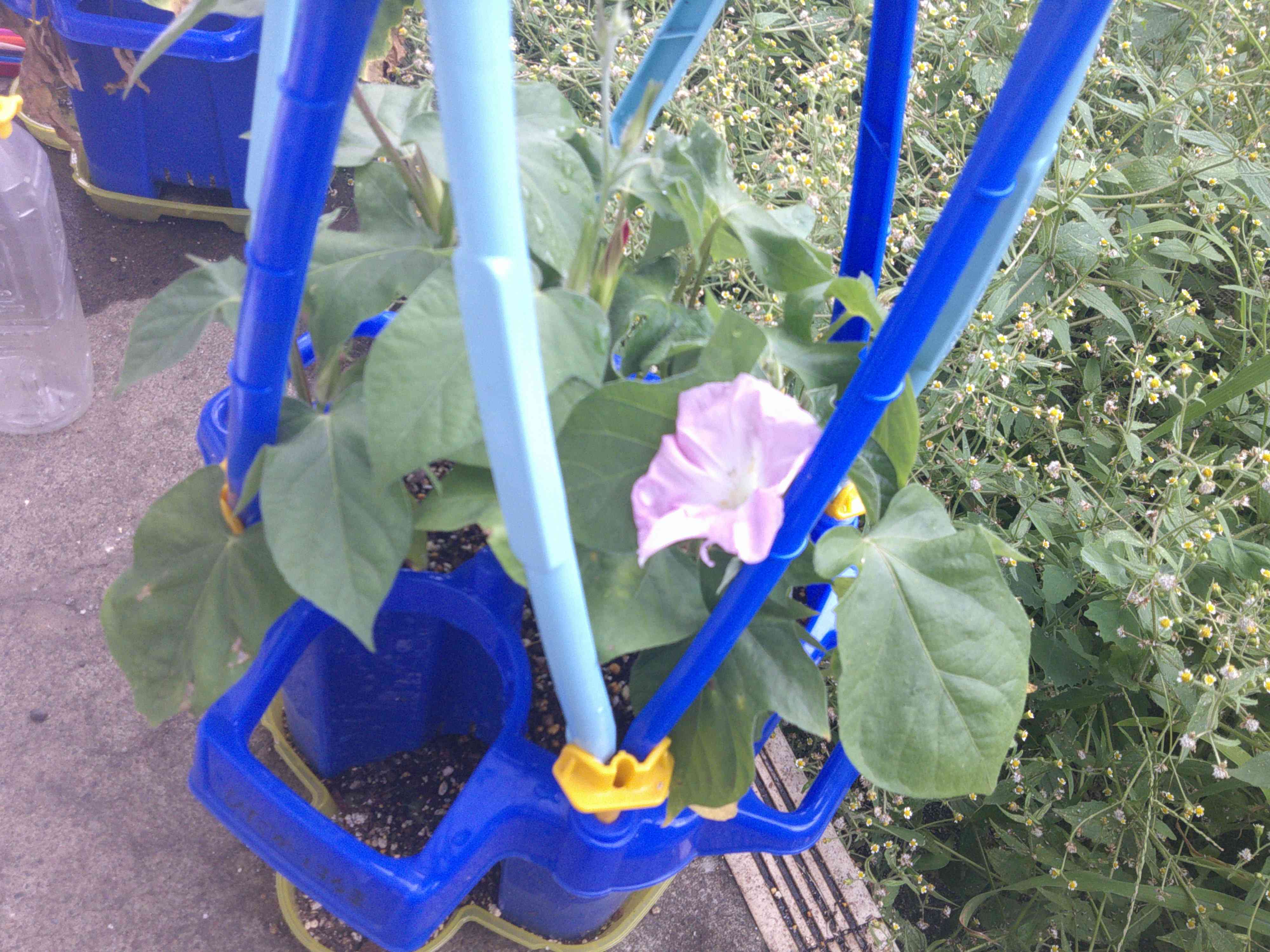 DSCF0368